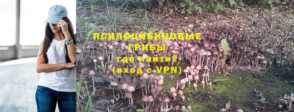 ПСИЛОЦИБИНОВЫЕ ГРИБЫ Богородицк