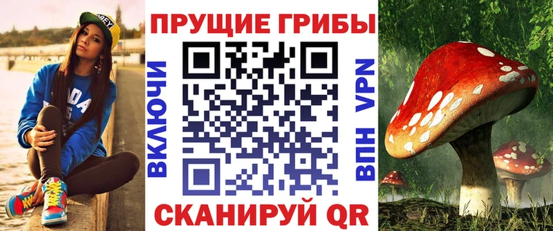 Псилоцибиновые грибы Magic Shrooms  магазин    Павловская 
