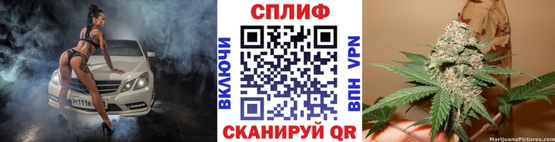 наркотики  Павловская  Каннабис индика 